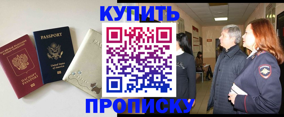 где прописаться в Пестово